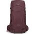 Kyte 38 Zaino da trekking XS-S 71 cm Variante elderberry purple Kyte 38 Zaino da trekking XS-S 71 cm Variante elderberry purple