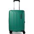  Nuon 4 ruote Trolley cabina 55 cm espandibile Variante pine green