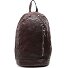 Frassino Zaino da giorno Pelle 34 cm Scomparto per laptop Variante moro Frassino Zaino da giorno Pelle 34 cm Scomparto per laptop Variante moro