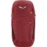  Zaino Alp Trainer 20L 55 cm Variante syrah