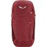 Zaino Alp Trainer 20L 55 cm Variante syrah Zaino Alp Trainer 20L 55 cm Variante syrah