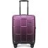  Crate EX Wildlife 4 ruote Carrello della cabina 55 cm Variante ascendinggrape