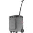  Carrycruiser Plus Carrello della spesa 52.5 cm Variante frame twist silver