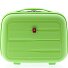  0800 Astuccio 34 cm Variante light green
