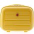  0800 Astuccio 34 cm Variante yellow