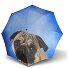  Ombrello a bastone automatico lungo Modern Art 88 cm Variante lazy dog
