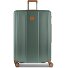 Ferrara 4 ruote Carrello L 77 cm con piega di espansione Variante green Ferrara 4 ruote Carrello L 77 cm con piega di espansione Variante green