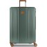  Ferrara 4 ruote Carrello L 77 cm espandibile Variante green