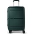 5899 4 ruote Carrello M 57 cm espandibile Variante grün