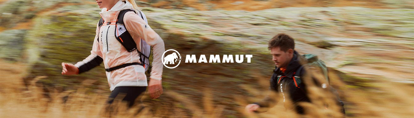 Mammut Bild